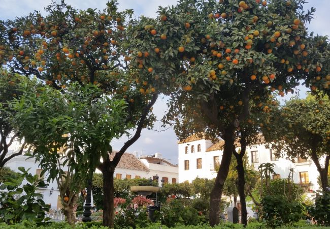 Ferienwohnung in Manilva - Duquesa Village 2147 Nice residence with swimming Ferienwohnung in Manilva - Duquesa Village 2147 Nice residence with swimming