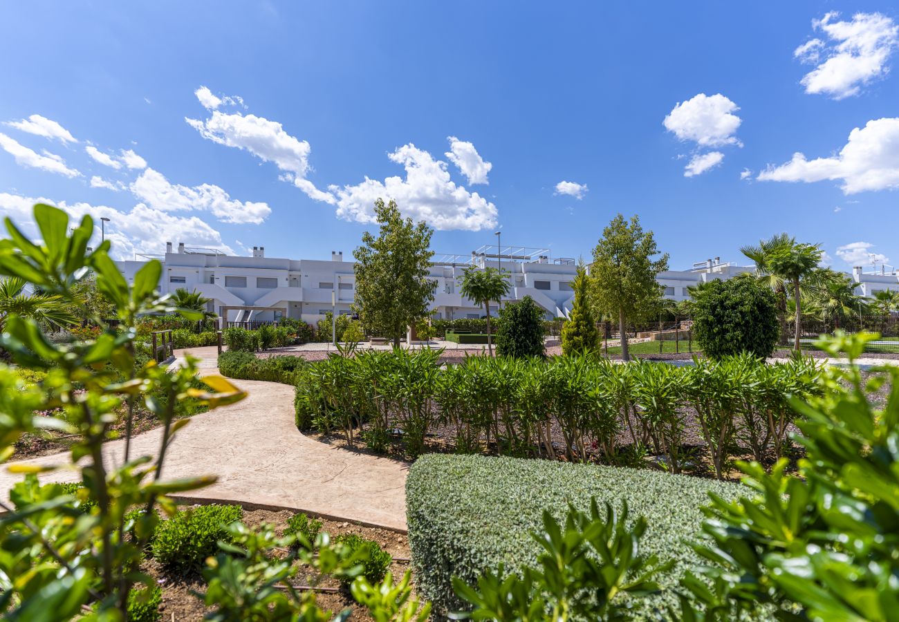 Ferienwohnung in Orihuela - 3102 CAPRI Apartamento