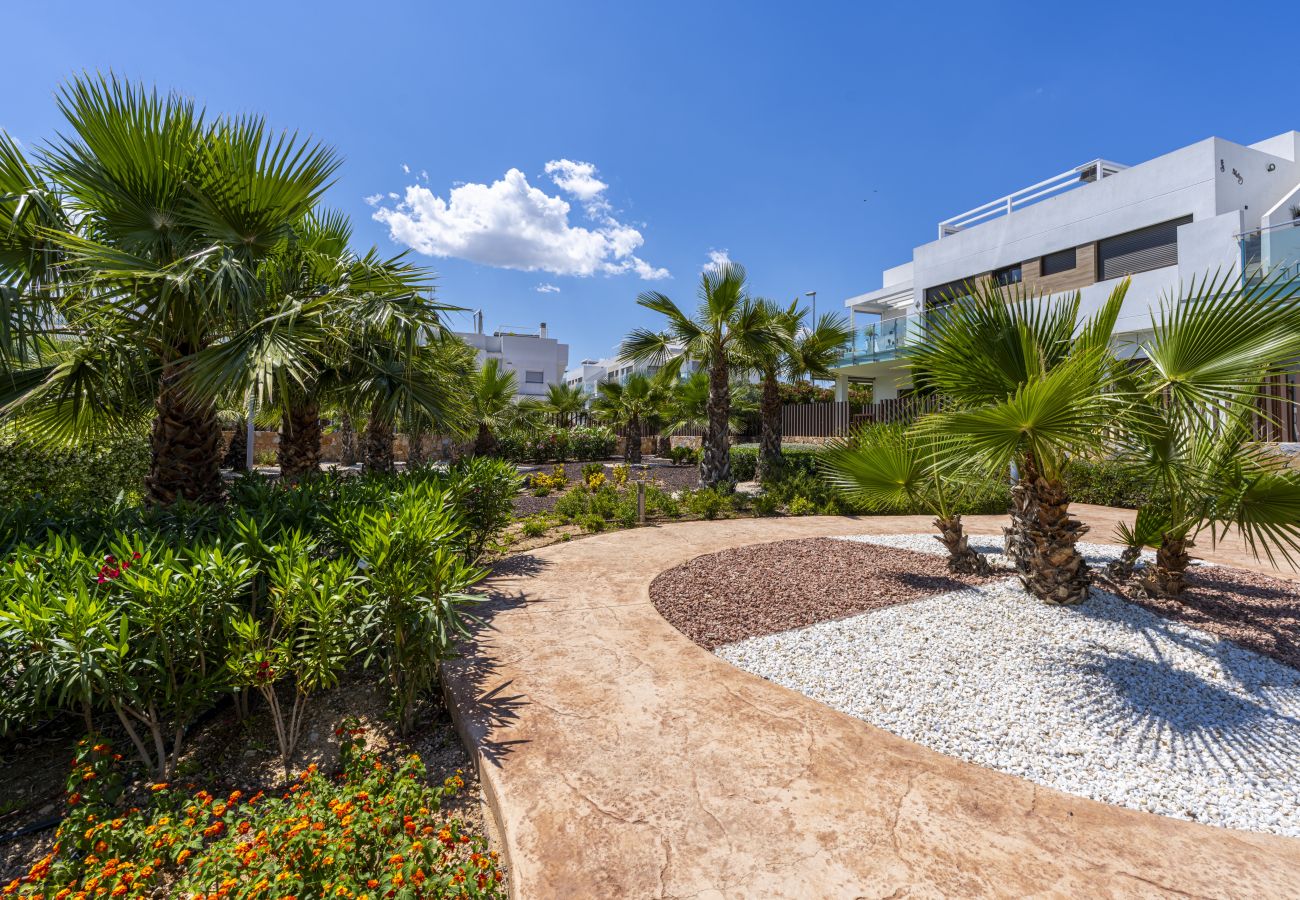 Ferienwohnung in Orihuela - 3102 CAPRI Apartamento
