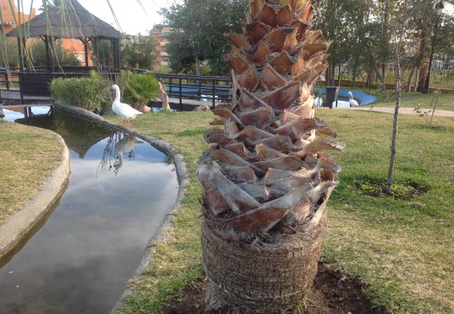 Apartment in Manilva - Residencial Duquesa 2091 Manilva  Apartment in Manilva - Residencial Duquesa 2091 Manilva