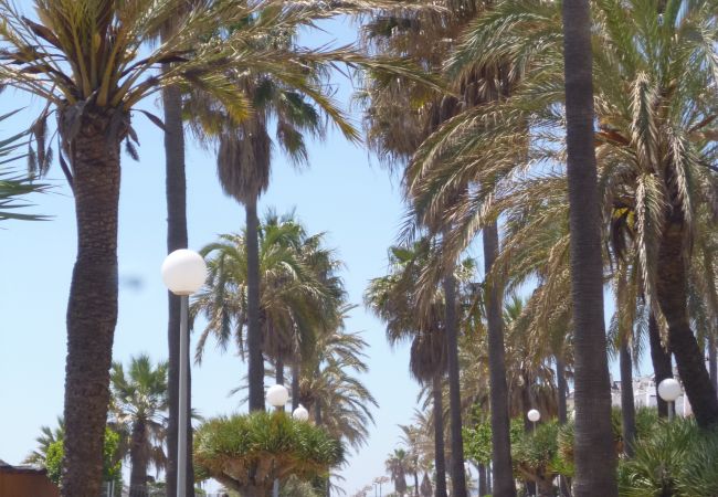 Apartment in Manilva - Terrazas de Guadalupe 2056 Penthouse with seaviews Apartment in Manilva - Terrazas de Guadalupe 2056 Penthouse with seaviews