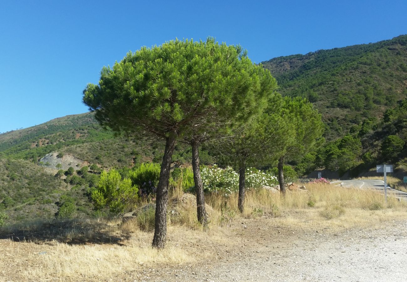 Apartment in Manilva - Duquesa Village 2147 Nice residence with swimming