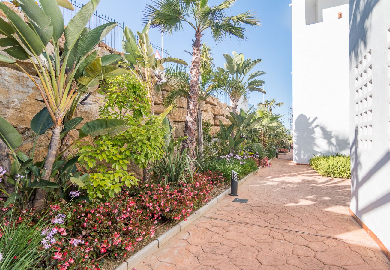 Apartment in Casares - Augusta Penthouse 2186
