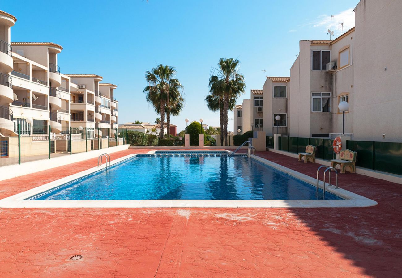 Zapholiday  -3001 - Orihuela Costa apartment, Costa Blanca - swimming pool