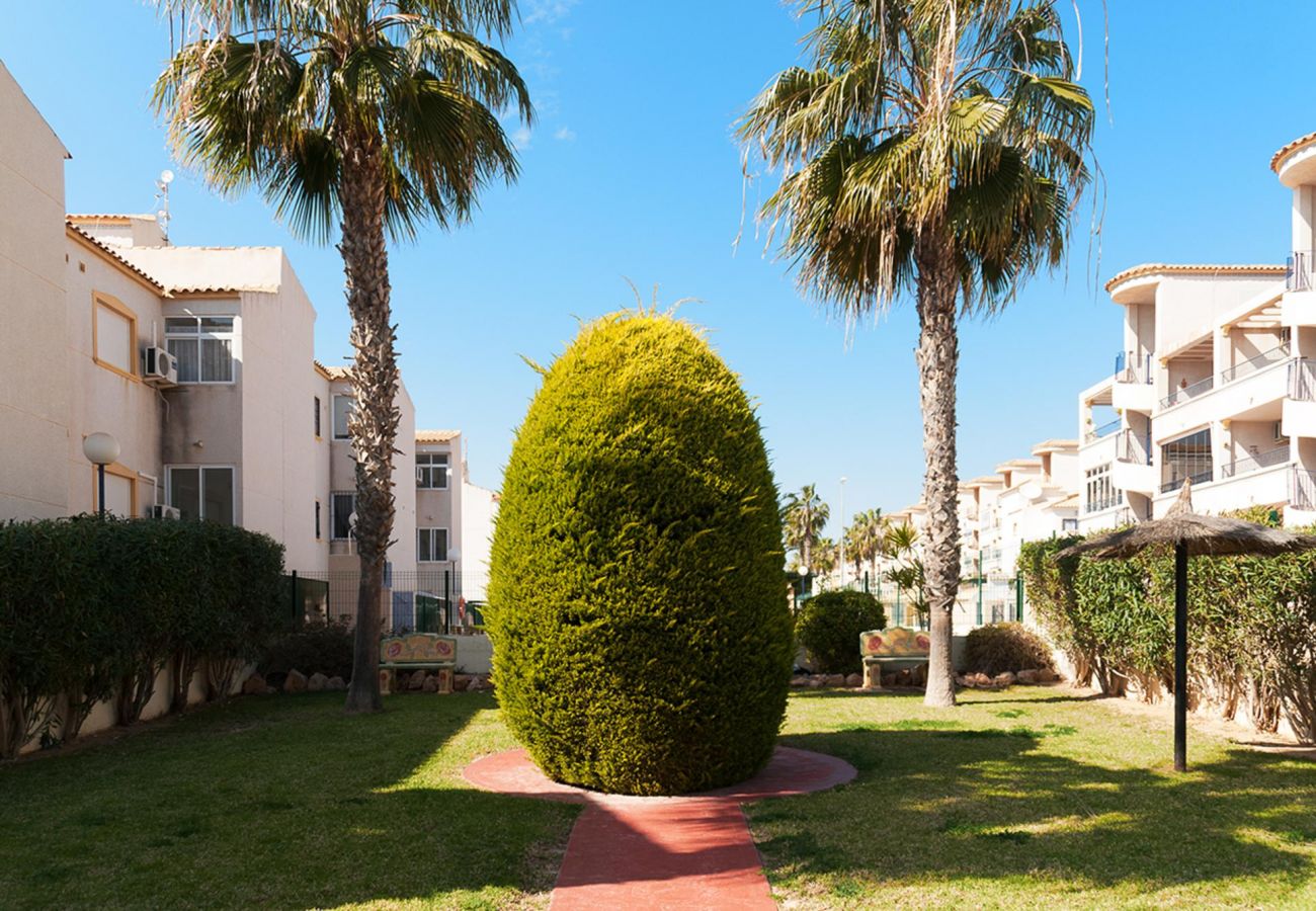 Apartment in Orihuela Costa - 3001 La Cinuelica Appartement