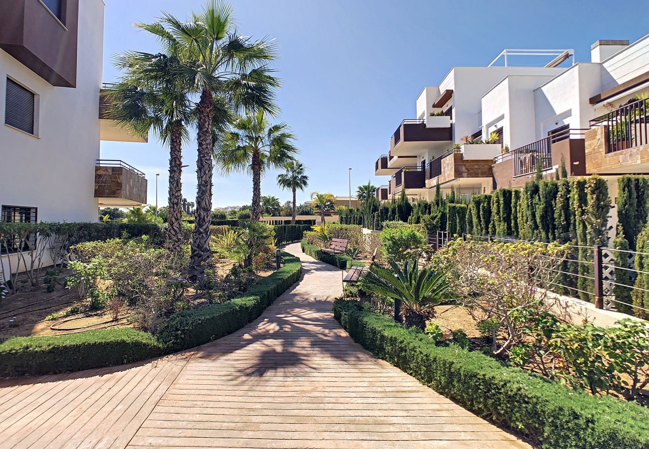 Apartment in Orihuela Costa - 3010 Silene II - 3010