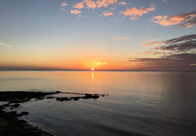 Apartment in Torre de la Horadada - 3022 Playa Elisa 3022 Apartment in Torre de la Horadada - 3022 Playa Elisa 3022