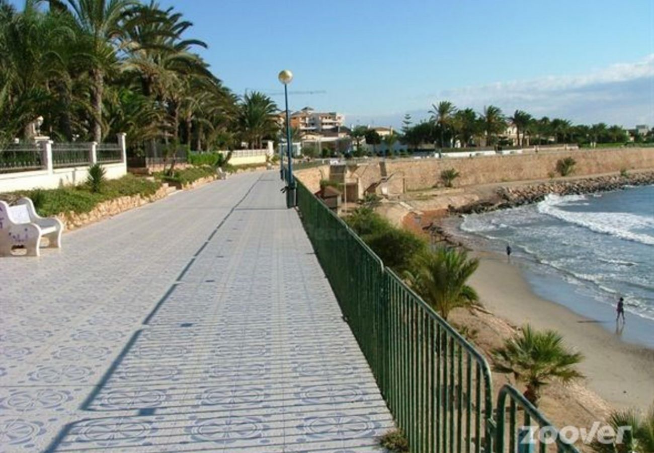 Apartment in Orihuela Costa - 3023 Oasis Beach VIII PUNTA PRIMA 3023