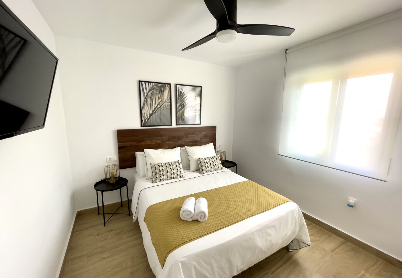 Apartment in Torrevieja - 3109 Apartamento ELISEOS