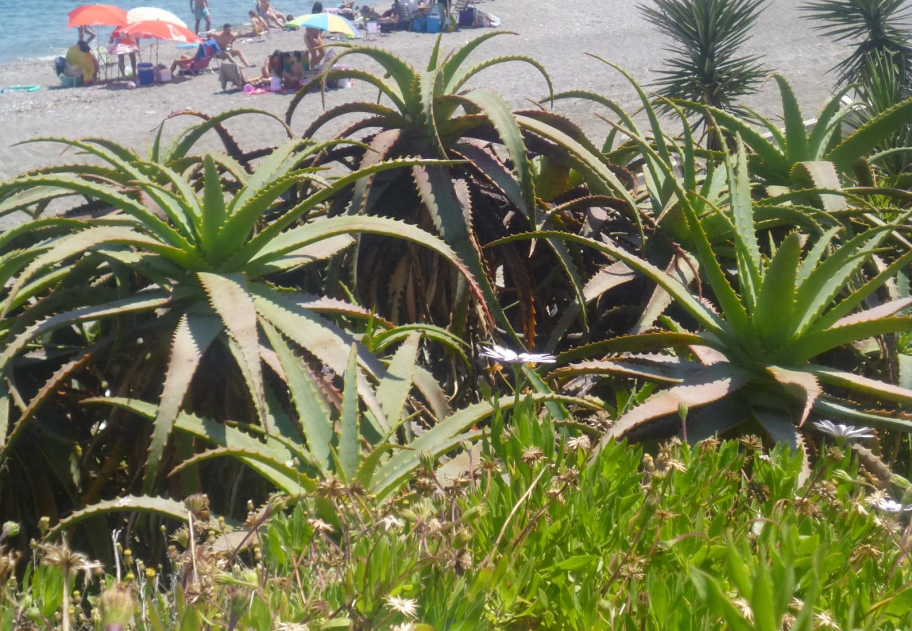 Apartamento en Manilva - Residencial Duquesa 2049  Manilva Beach 