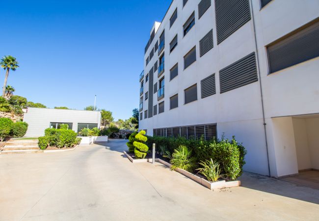 Apartamento en Orihuela Costa - 3082 RES LOMAS DE CAMPOAMOR Apartamento en Orihuela Costa - 3082 RES LOMAS DE CAMPOAMOR