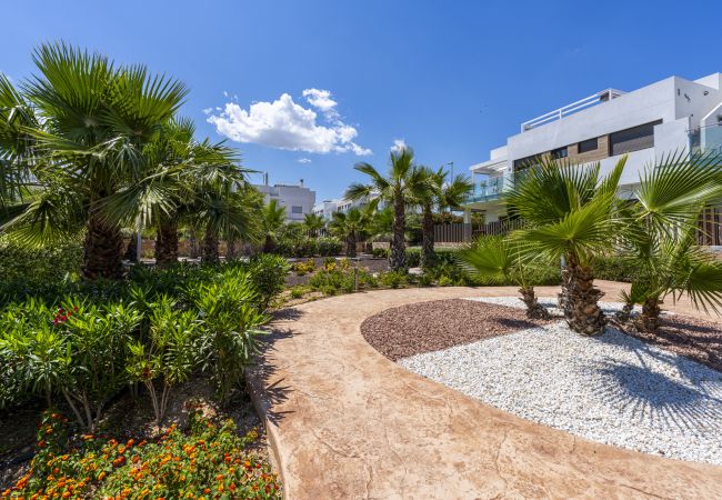 Apartamento en Orihuela - 3102 CAPRI Apartamento Apartamento en Orihuela - 3102 CAPRI Apartamento