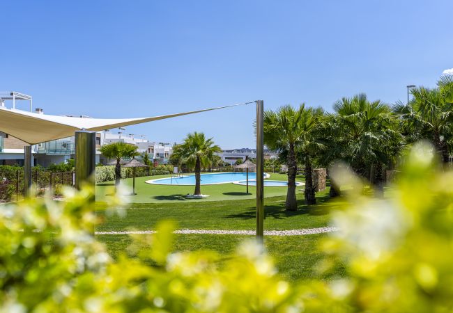 Apartamento en Orihuela - 3102 CAPRI Apartamento Apartamento en Orihuela - 3102 CAPRI Apartamento