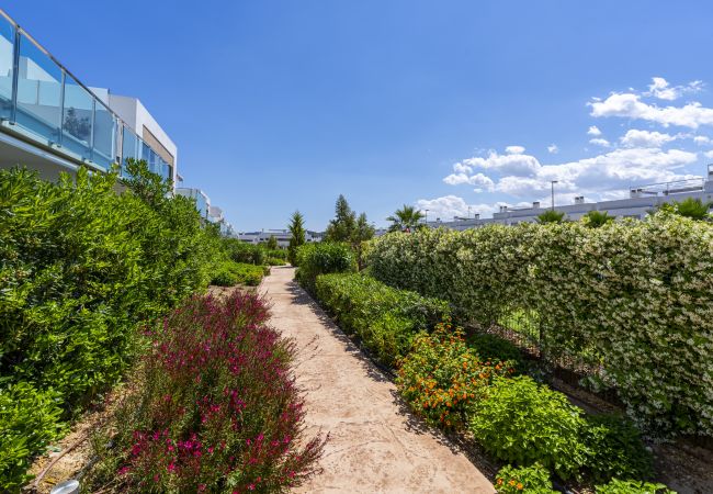 Apartamento en Orihuela - 3102 CAPRI Apartamento Apartamento en Orihuela - 3102 CAPRI Apartamento