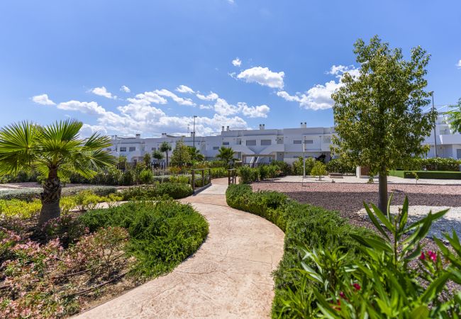 Apartamento en Orihuela - 3102 CAPRI Apartamento Apartamento en Orihuela - 3102 CAPRI Apartamento