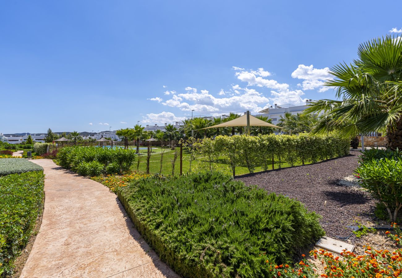 Apartamento en Orihuela - 3102 CAPRI Apartamento