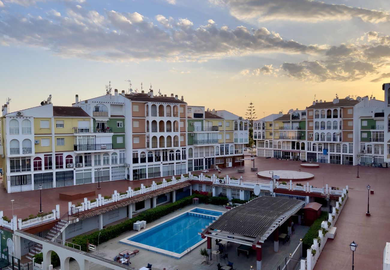 Apartamento en Torrevieja - 3109 Apartamento ELISEOS