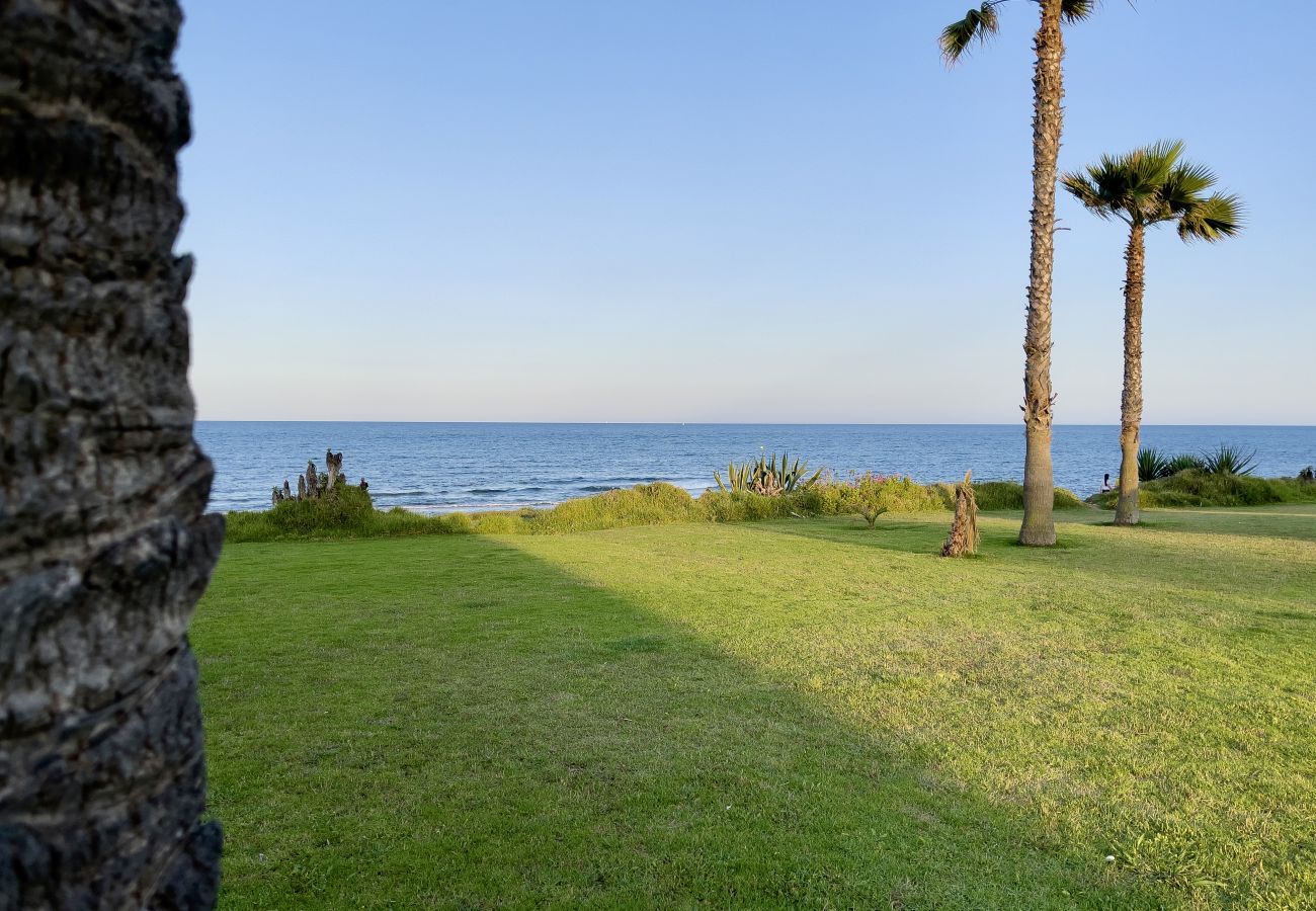 Apartamento en Torrevieja - 3109 Apartamento ELISEOS