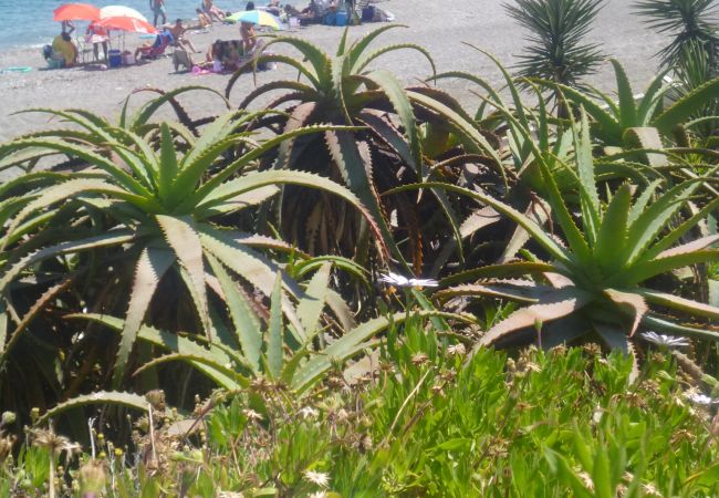 Appartement à Manilva - Residencial Duquesa 2049  Manilva Beach Appartement à Manilva - Residencial Duquesa 2049  Manilva Beach