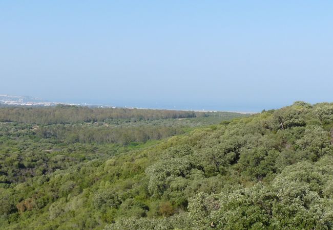 Appartement à La Alcaidesa - Terrazas de Alcaidesa 2361 Cozy Apartment Appartement à La Alcaidesa - Terrazas de Alcaidesa 2361 Cozy Apartment