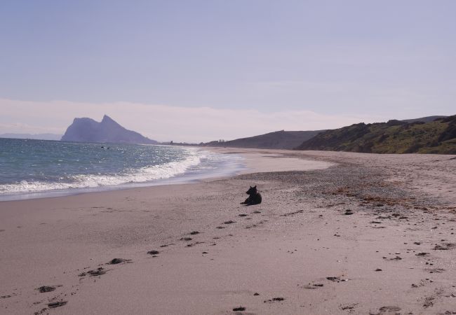 Appartement à La Alcaidesa - Terrazas de Alcaidesa 2416 Cosy Flat Appartement à La Alcaidesa - Terrazas de Alcaidesa 2416 Cosy Flat