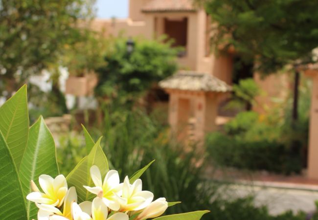 Appartement in Manilva - Duquesa Village 2115 Charming Place Appartement in Manilva - Duquesa Village 2115 Charming Place