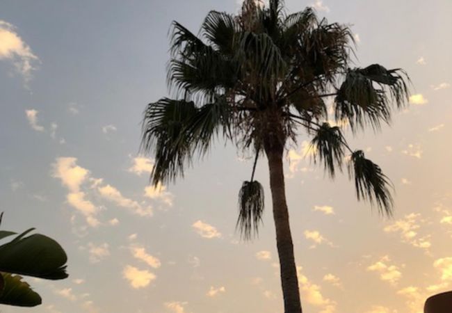 Appartement in Estepona - Soto Serena 2256 Estepona Appartement in Estepona - Soto Serena 2256 Estepona