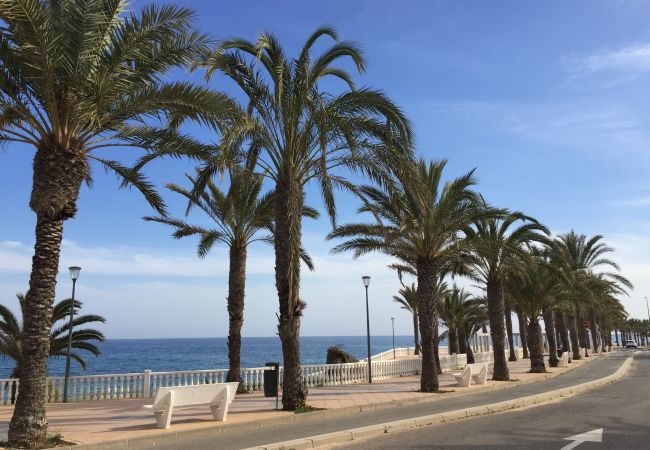 Appartement in Torre de la Horadada - 3027 Vista Azul,close to the beach &  heated pool Appartement in Torre de la Horadada - 3027 Vista Azul,close to the beach &  heated pool