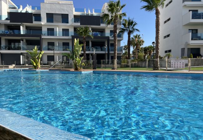 Appartement in Guardamar - 3086 Res OASIS BEACH XIV Appartement in Guardamar - 3086 Res OASIS BEACH XIV