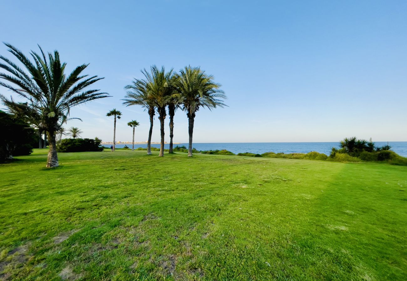 Appartement in Torrevieja - 3109 Apartamento ELISEOS